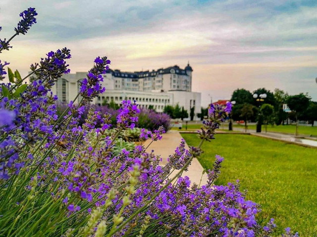 Фото @snizhanaogorodnik